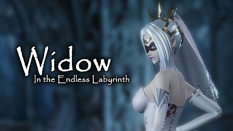 Widow in the Endless Labyrinth Game