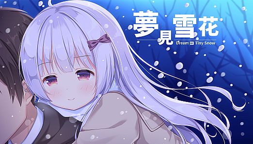 Dream of Tiny Snow