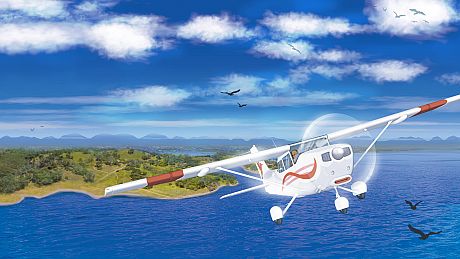 Coastline Flight Simulator Game