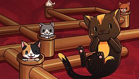 Cat Pipes