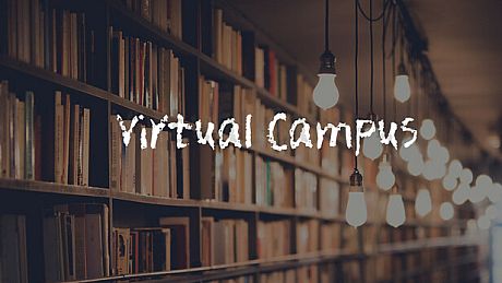Virtual Campus Game