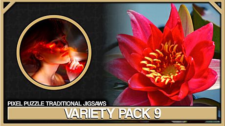 Pixel Puzzles Traditional Jigsaws Pack: Variety Pack 9 DLC