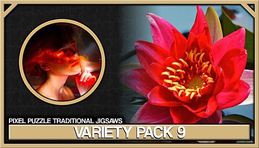 Pixel Puzzles Traditional Jigsaws Pack: Variety Pack 9