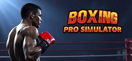 Boxing Pro Simulator