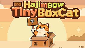 Hajimeow: Tiny Box Cat