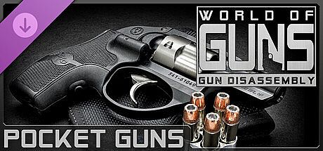 World of Guns: Pocket Guns Pack #1