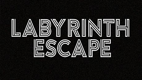 Labyrinth Escape Game
