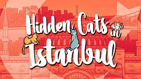 Hidden Cats in Istanbul Game