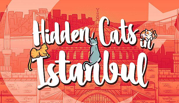 Buy Hidden Cats in Istanbul