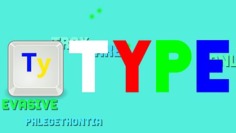 Type Game