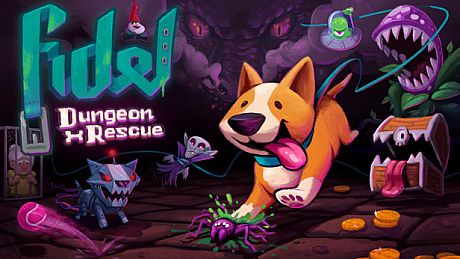 Fidel Dungeon Rescue