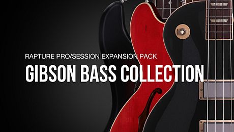 Cakewalk - Gibson Bass Collection Expansion DLC