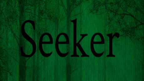Seeker Game