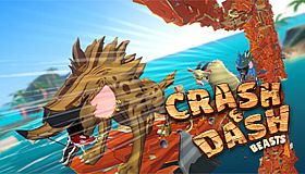 Crash & Dash