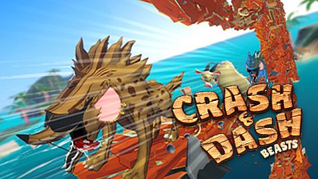 Crash & Dash Game