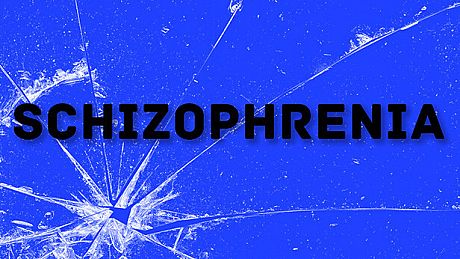 Schizophrenia Game