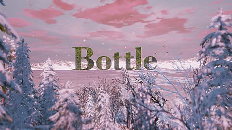 Bottle (2016) Game