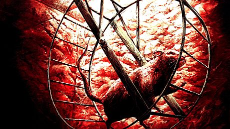 Injection π23 'No Name, No Number' Game