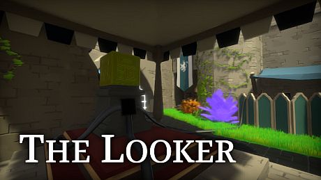 The Looker Game