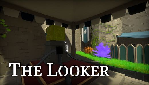 The Looker