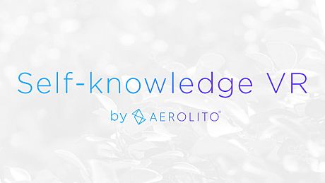 Self-knowledge VR Game