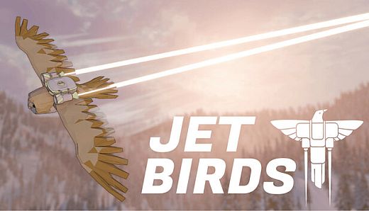 Jet Birds