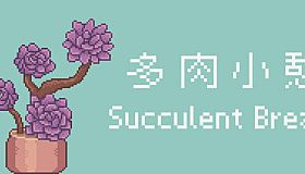 Succulent Break