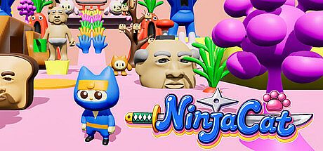 NinjaCat Game