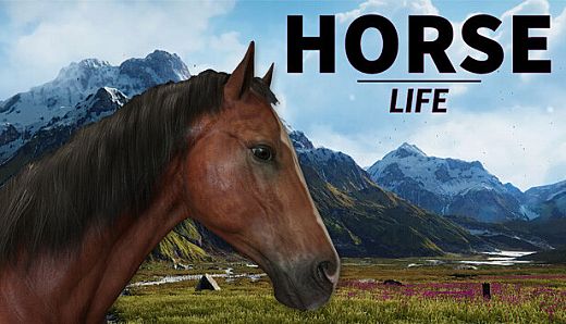 HORSE LIFE: find horses in open world, survive in wild nature as a foal or pony