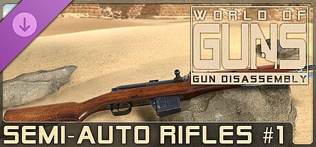 World of Guns: Semi-Auto Rifles Pack #1 DLC