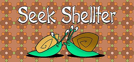Seek Shellter Game