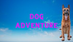 Dog Adventure