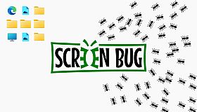 Screen BUG