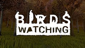 Birds Watching