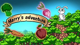 Harry's Adventure