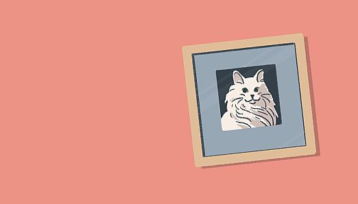 A Little to the Left