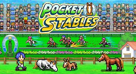 Pocket Stables Game