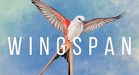 Wingspan Game