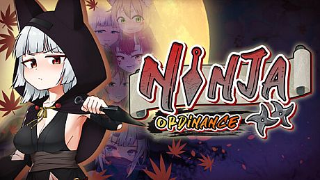 Ninja Ordinance Game