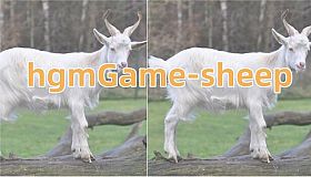 hgmGame-sheep