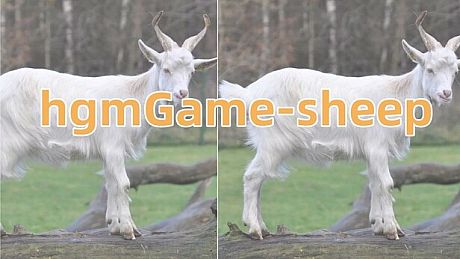 hgmGame-sheep Game