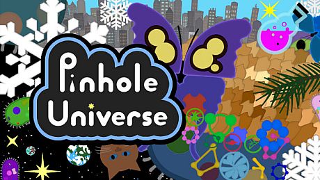 Pinhole Universe Game