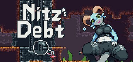 Nitz's Debt