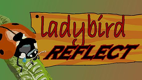 Ladybird Reflect Game