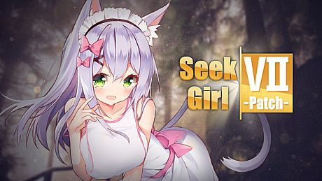 Seek Girl Ⅶ - Patch DLC