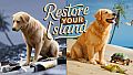 Restore Your Island