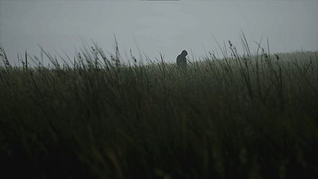 Lushfoil Photography Sim Game