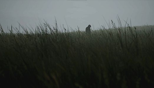 Lushfoil Photography Sim