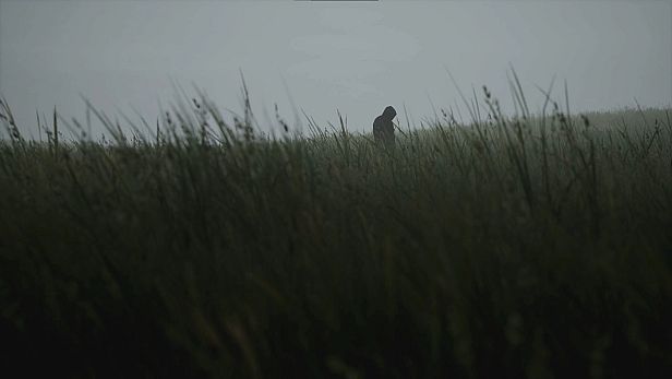 Buy Lushfoil Photography Sim