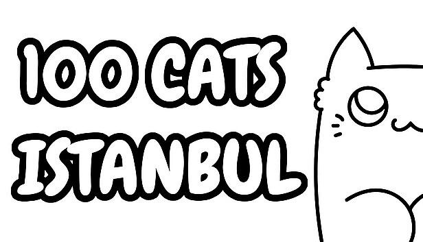 Buy 100 Cats Istanbul